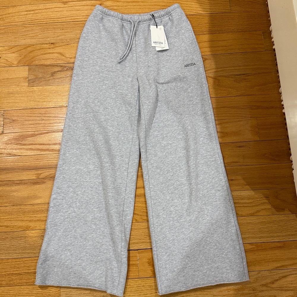Aritzia Cozy Sweatfleece Mega Flutter Sweatpant